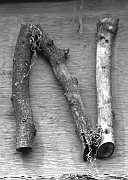 Wall_Art_Alphabet_Photography_Art_ 1498